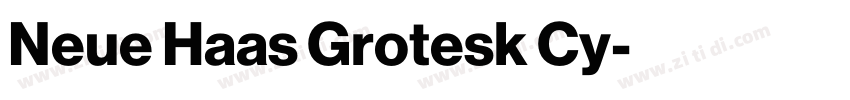 Neue Haas Grotesk Cy字体转换 Neue Haas Grotesk Cy字体转换